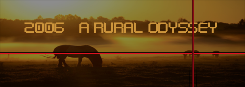 2006: A rural odyssey (2006)